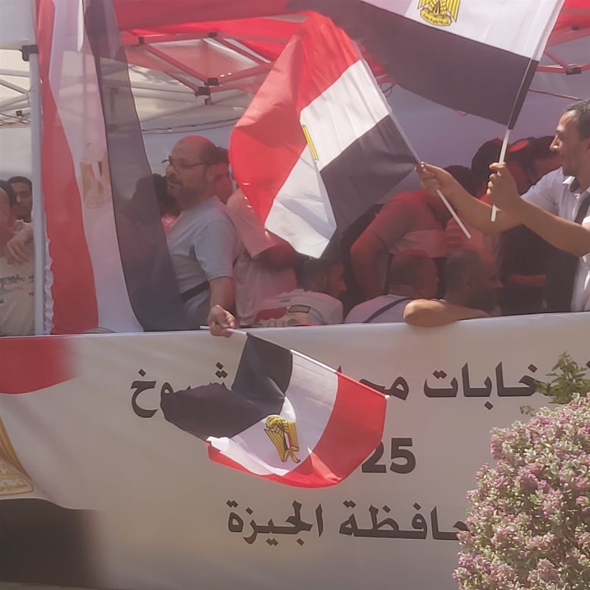 انتخابات الشيوخ 2025