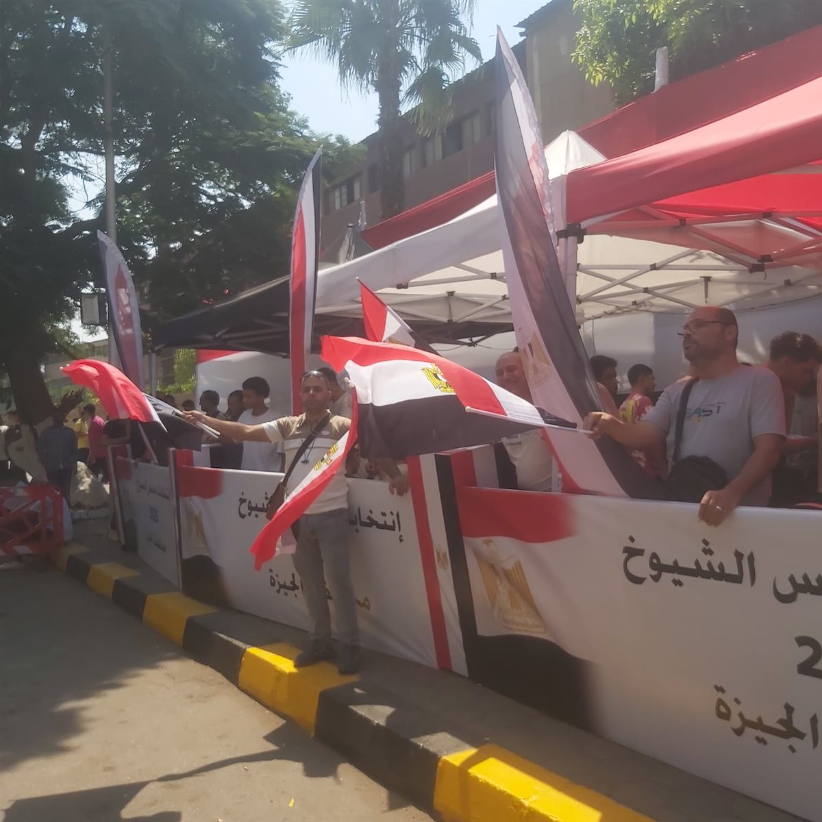 انتخابات الشيوخ 2025