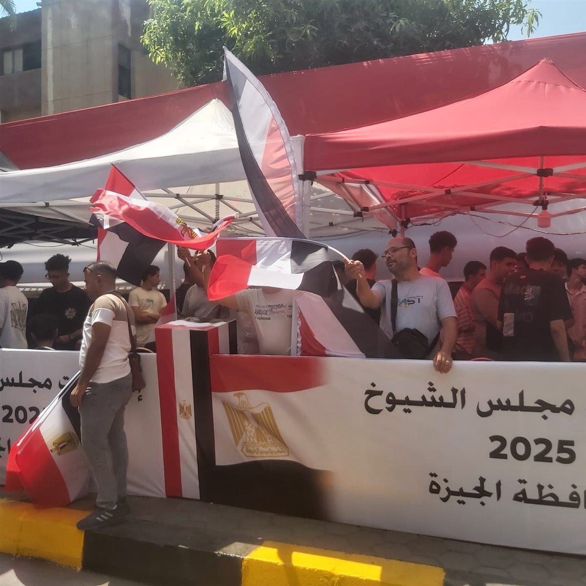 انتخابات الشيوخ 2025