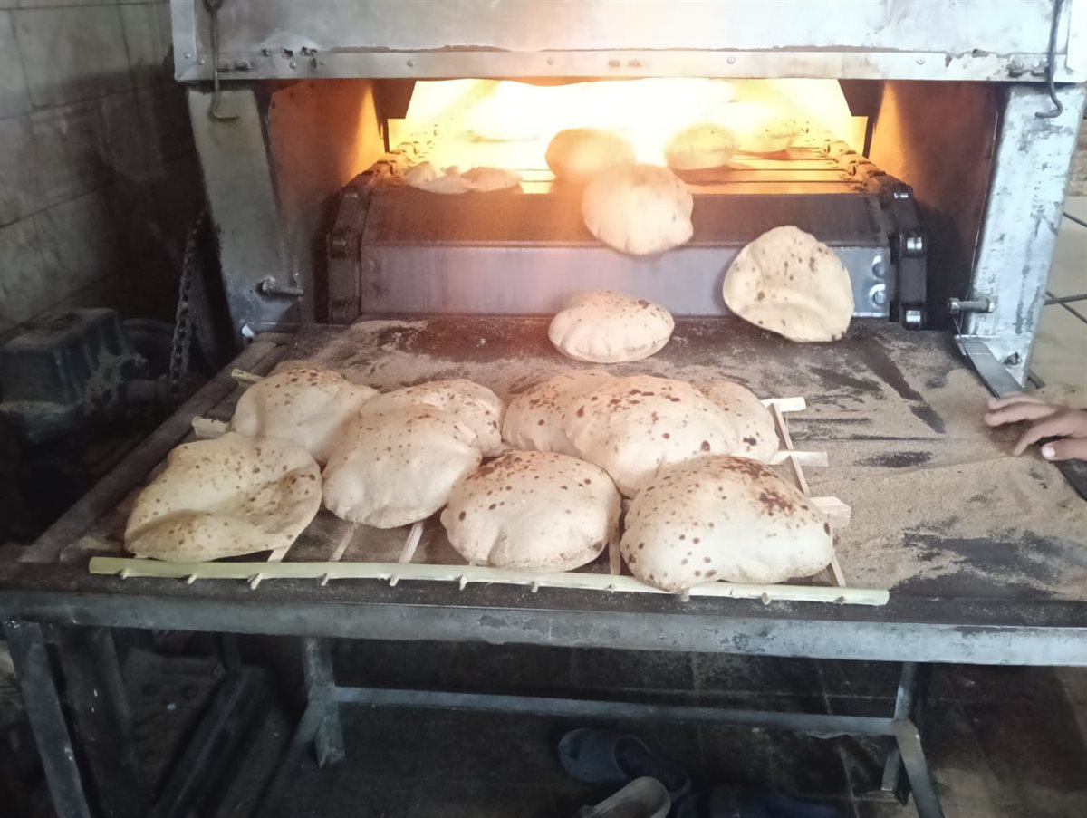 تموين الفيوم يضبط 65 مخالفة تموينية متنوعة بدائرة المحافظة