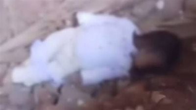 حملت سفاحا من شاب فقامت ووالدها بإلقاء الطفل أمام مسجد بالصف
