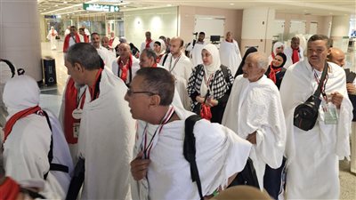 في أجواء من السكينة.. بعثة الحج المصرية تواصل تفويج الحجاج إلى المدينة المنورة