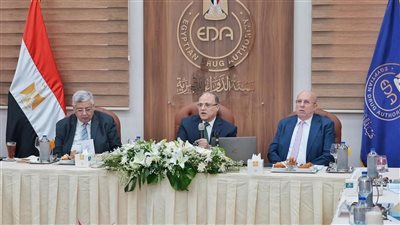هيئة الدواء: 309 مليارات جنيه مبيعات سوق الدواء في 2024 ونمو قياسي بنسبة 43%