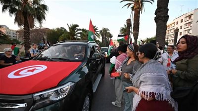 مخططات خطرة.. ما دور تنظيم الإخوان في مسيرة قافلة الصمود؟