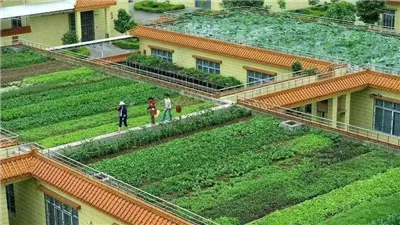 المدن ذات الأسقف الخضراء.. 7 دول تطبقها في العالم من بينها مصر