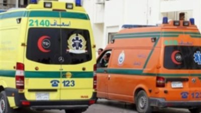 شهيد لقمة العيش.. وفاة سائق قطار لفظ أنفاسه الأخيرة أثناء توقفه في البحيرة