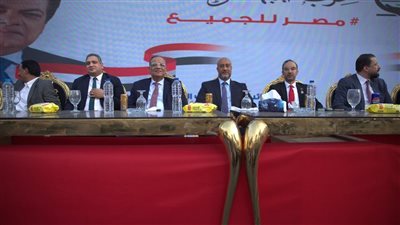 أحمد الحمامصي يشكر أهالى الجيزة وقيادات حزب الجبهة الوطنية