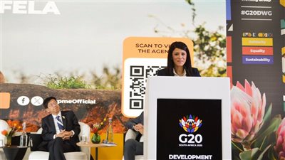 المشاط: نستهدف رفع مساهمة الاستثمارات الخاصة إلى 66% بحلول 2030