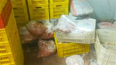 286 مخالفة تموينية في حملات رقابية مكثفة بالقليوبية خلال 72 ساعة