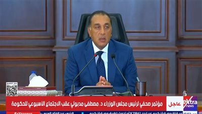 رئيس الوزراء: مصر تعمل على 3 محاور لدعم القضية الفلسطينية