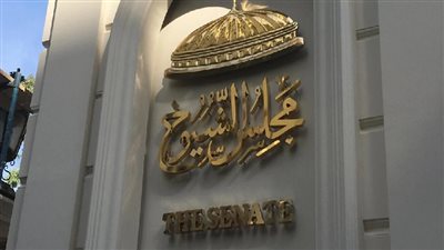 تأخير فتح لجنة في بورسعيد 40 دقيقة.. والهيئة: صندوق الاقتراع السبب