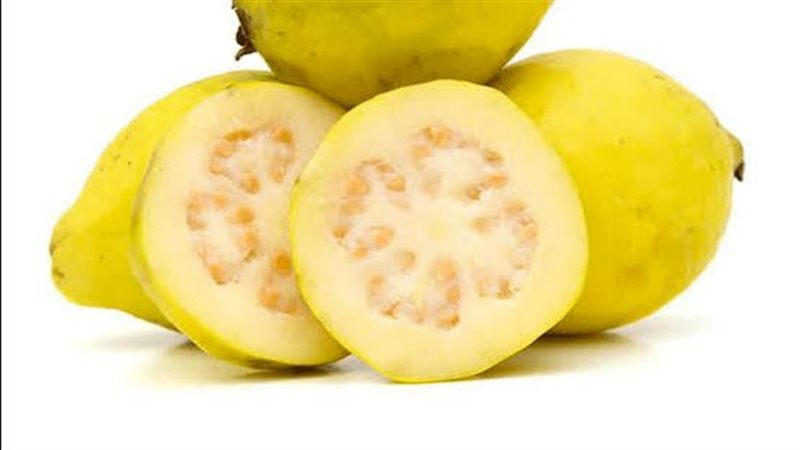 جوافة