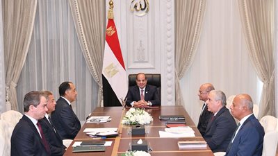 الاستعانة بالشباب.. السيسي يوجه بوضع خارطة طريق شاملة لتطوير الإعلام