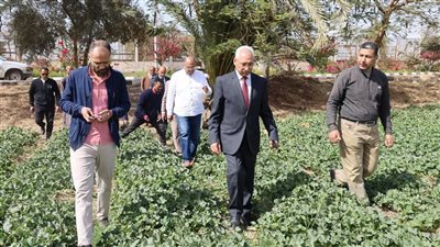 رئيس جامعة المنيا يتفقد المنتجات والمحاصيل بمشروع الصوب الزراعية