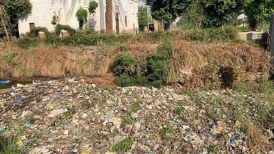 ترعة الزوايدة في قنا.. تراكم المخلفات والحيوانات النافقة يهدد صحة الأهالي