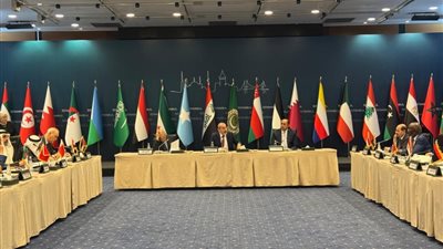 محلل سياسي: علينا تطوير التعاون بين الدول العربية والإسلامية