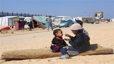 عائد ياغي: إعلان الأمم المتحدة للمجاعة لم يغيّر واقع الجوع في غزة