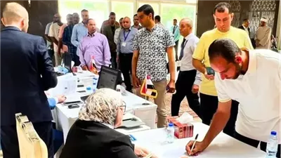 كيف استعدت الهيئة الوطنية لجولة الإعادة في انتخابات الشيوخ بالخارج؟