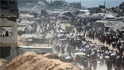 محمود الهباش : وقف الحرب بداية جيدة.. ومصر أنقذت الدم الفلسطيني