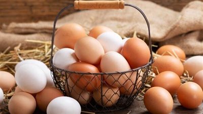تراجع سعر البيض البلدي واستقرار الأحمر والأبيض في الأسواق اليوم