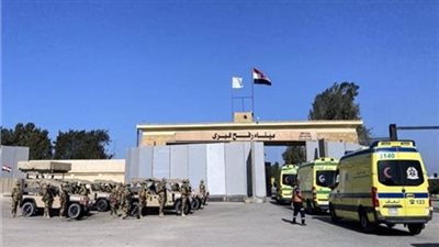 وصول نائب وزير خارجية تركيا لمطار العريش تمهيدا لزيارة معبر رفح