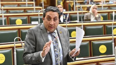 إيهاب رمزي: الرئيس يستخدم سلطته لمراجعة القانون لضمان مزيد من الحريات والحقوق