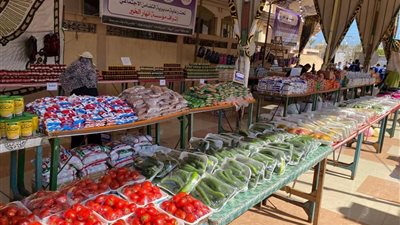 افتتاح معرض «أنهار الخير» في دمياط: سلع غذائية وملابس للأسر المحتاجة
