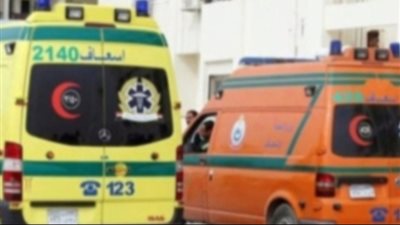 خناقة على أجر العمل.. وفاة مزارع شاب على يد جيرانه في مشاجرة بالبحيرة