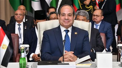 أستاذة علوم سياسية: الرئيس السيسي ربط بين الأمن القومي المصري والملف الفلسطيني