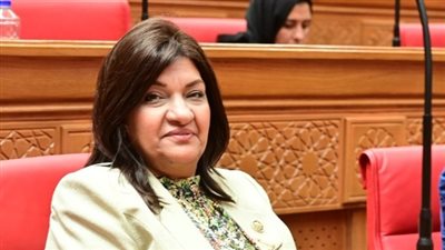 إيفلين متى: زيادة أسعار الأراضي الصناعية ضرورة لمواجهة