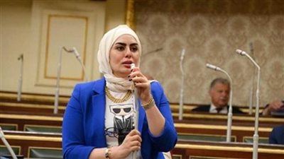 نائبة برلمانية: موقف الرئيس من قانون الإجراءات الجنائية ضمانة لحماية الحقوق