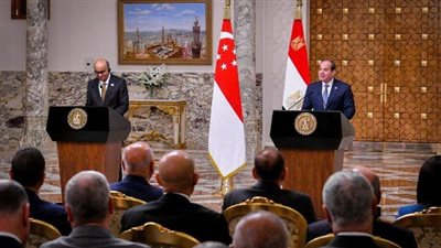خبير اقتصادي: زيارة رئيس سنغافورة لمصر تفتح آفاقًا استثمارية واعدة