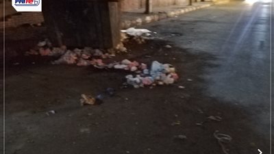 مخلفات طبية من عيادات خاصة تهدد المارة خلف هندسة قنا: أكياس محلول وحقن