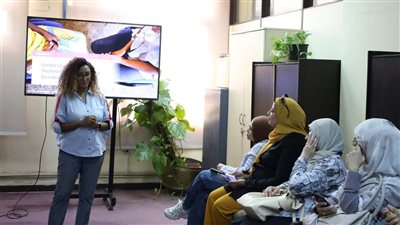 مهرجان إيزيس يسلط الضوء على العنف الرقمي وأثره على النساء والفنانات