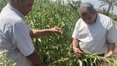 محافظ أسيوط: رفع وعي المزارعين أساس لتحقيق تنمية زراعية مستدامة