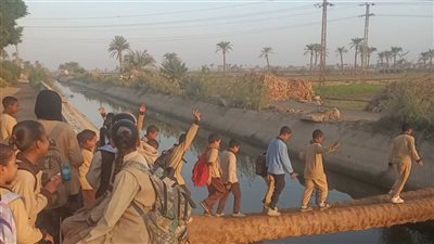 بيعدوا الترعة على جذع نخلة.. كارثة تهدد حياة تلاميذ قرية الإسكندرية بأسيوط