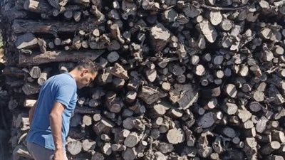 حملات مكثفة لإزالة مكامير الفحم المخالفة حفاظًا على البيئه بدمياط الجديدة