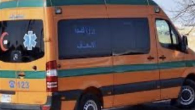 ضربه بمفك في الرأس.. مصرع طالب على يد زميله بالدقهلية