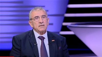 وائل ربيع: التحركات المصرية في الملف الفلسطيني فاعلة وسريعة وتوحيد الصف