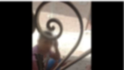 الداخلية تكشف كذب سيدة ادعت احتجازها من شقيقيها في منشأة القناطر