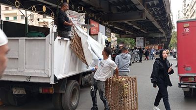 حي الدقي يواصل رفع الإشغالات من الشوارع الرئيسية | صور