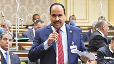 برلماني: لجنة فنية عاجلة لمعاينة الصرف الصحي المتعثر في سوهاج