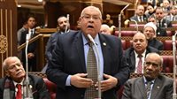 الشهابي: الحكم البات بإدانة وزيرة الثقافة يؤكد أن دولة القانون لا تعرف استثناء 