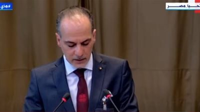 ممثل فلسطين أمام العدل الدولية: إسرائيل تنفذ حملة للقضاء على الشعب الفلسطيني