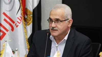 هشام عناني: مشروعات قوانين الانتخابات تحافظ على شرعية المجالس المقبلة