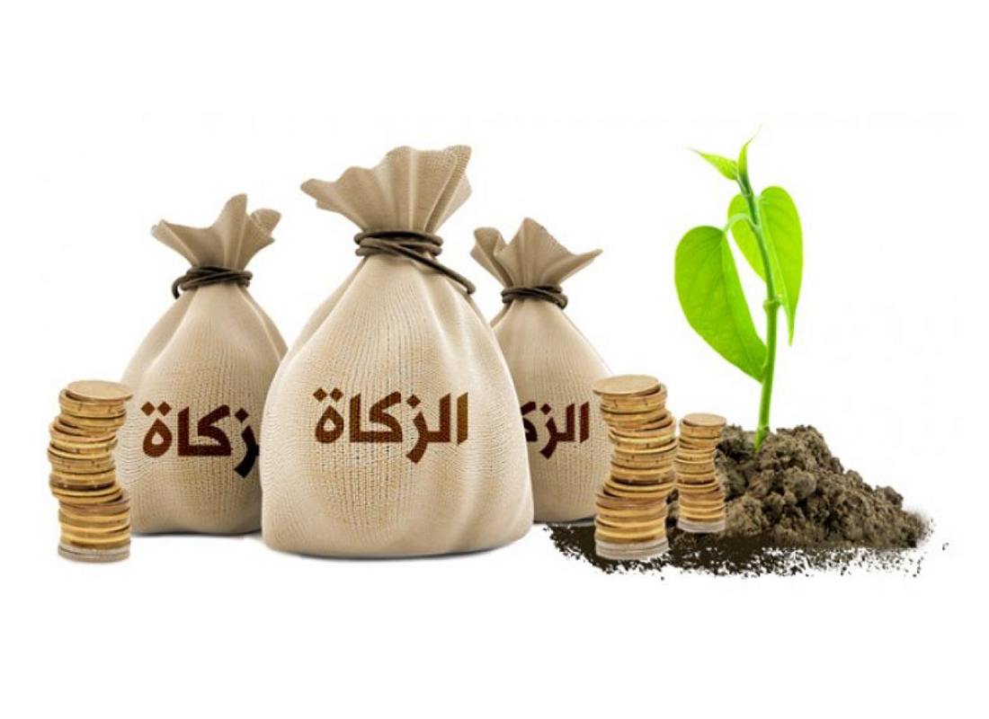 ما حكم إخراج الزكاة من عائد أموال البنك بمقدار 10%؟