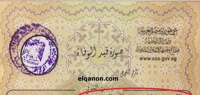 <strong>ما هي الأوراق المطلوبة لاستخراج شهادة وفاة؟</strong>
