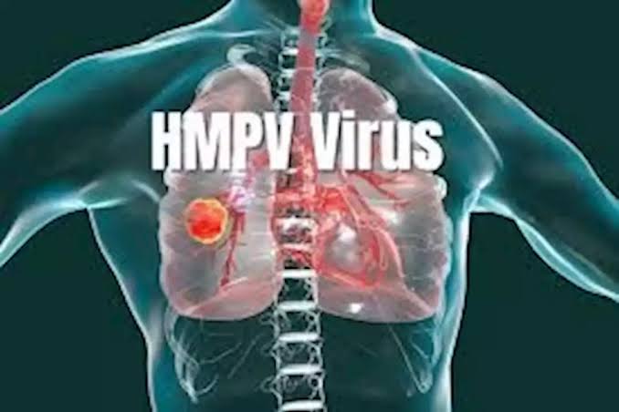 فيروس HMPV