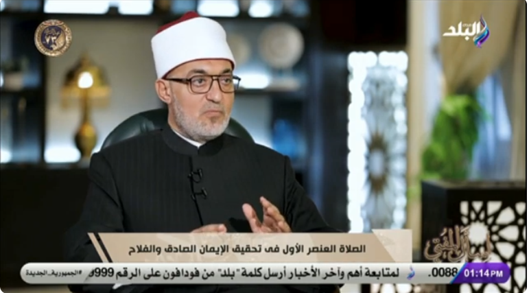 مفتي الديار المصرية