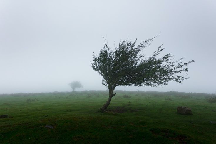 شدة العاصفة